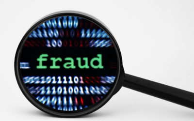Massive credit fraud ring busted